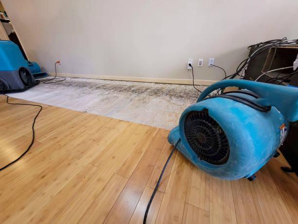 Professional Sewage Cleanup technician working in Central City, IL